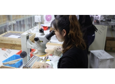 关于屏蔽电感和非屏蔽电感的不同你了解多少